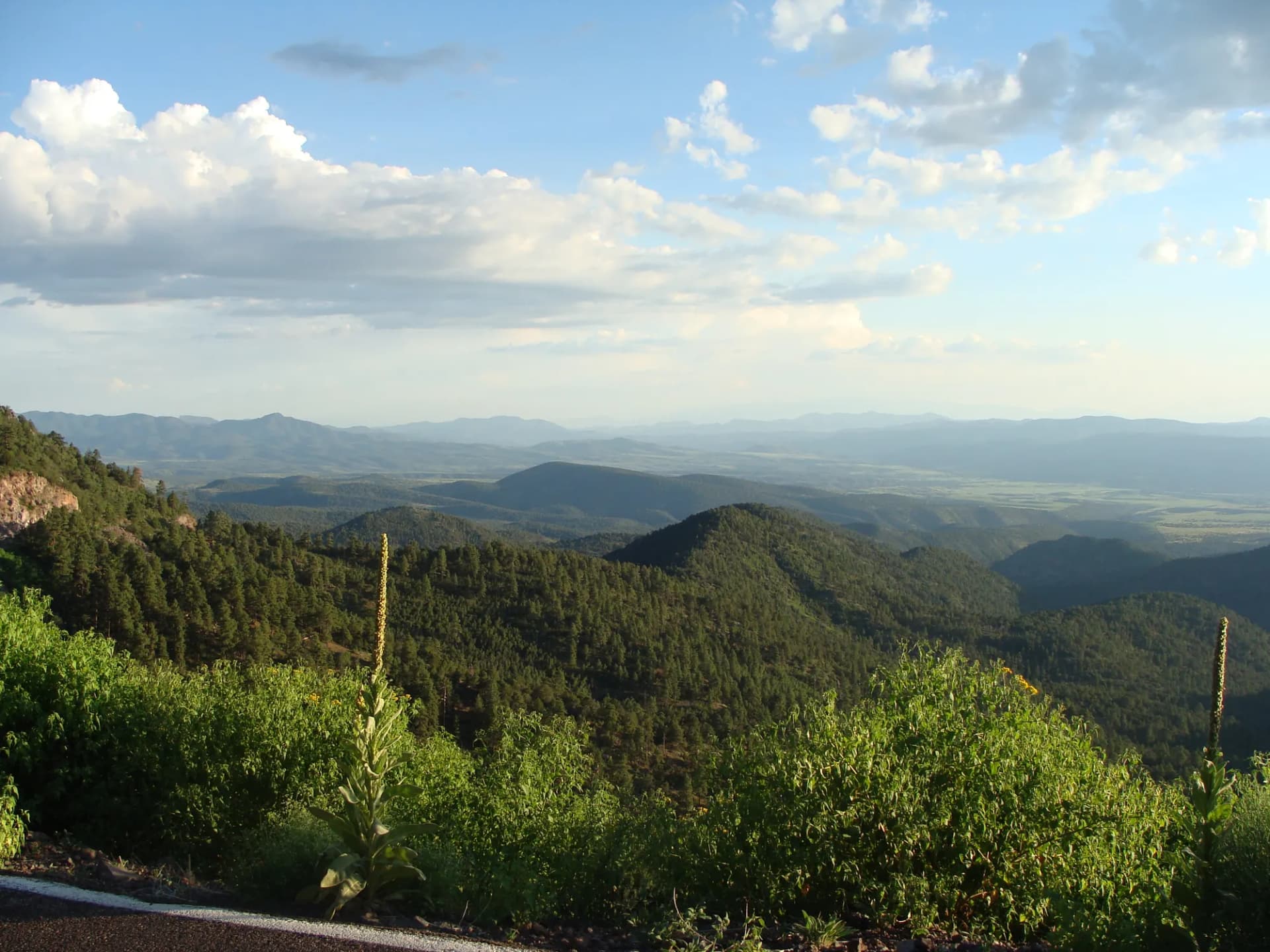 Rolling forested highlands of the Apache-Sitgreaves National Forests along Route 191, Arizona