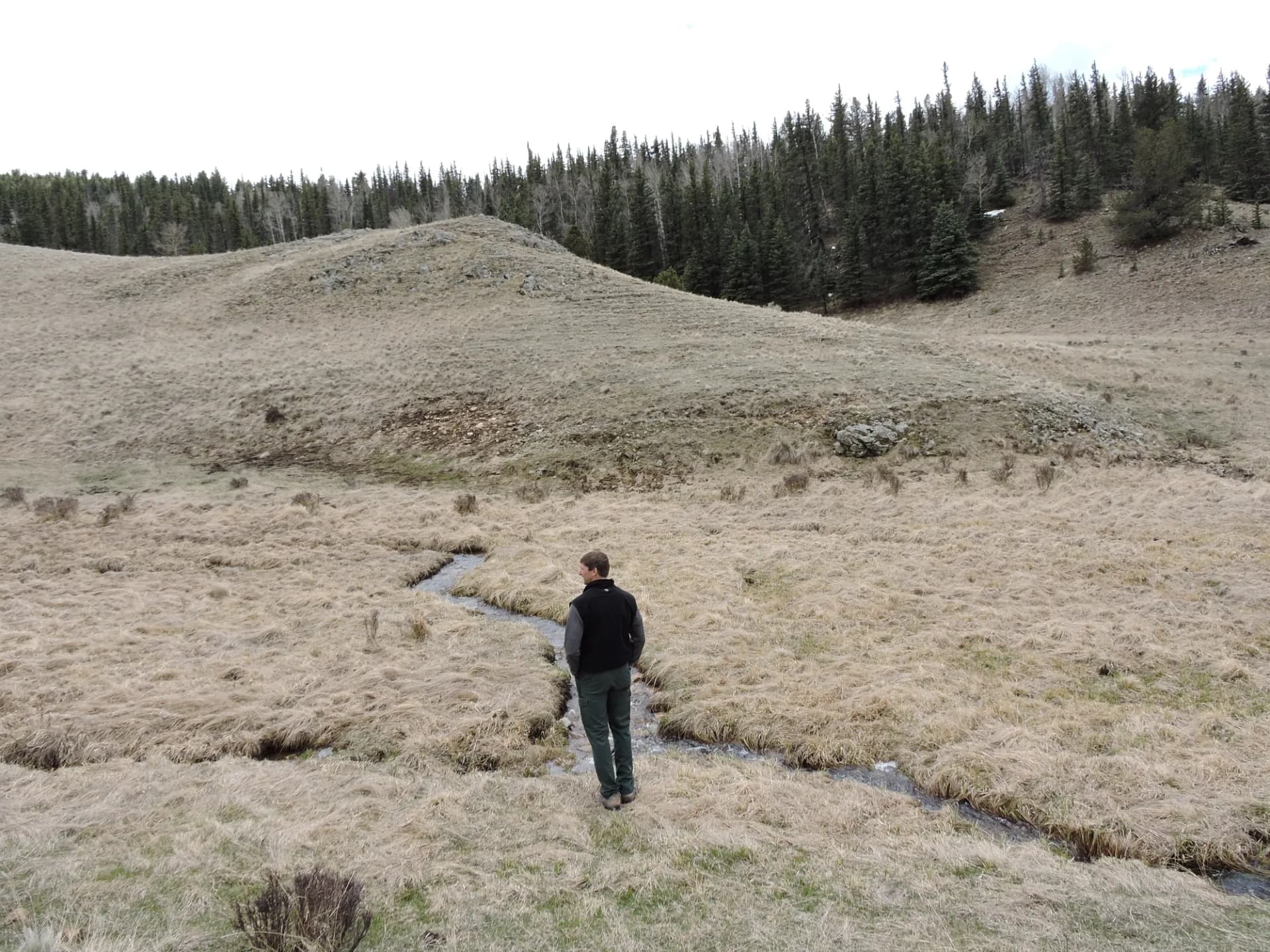Comanche Creek flowing through a forested canyon with lush riparian vegetation, Carson National Forest, New Mexico