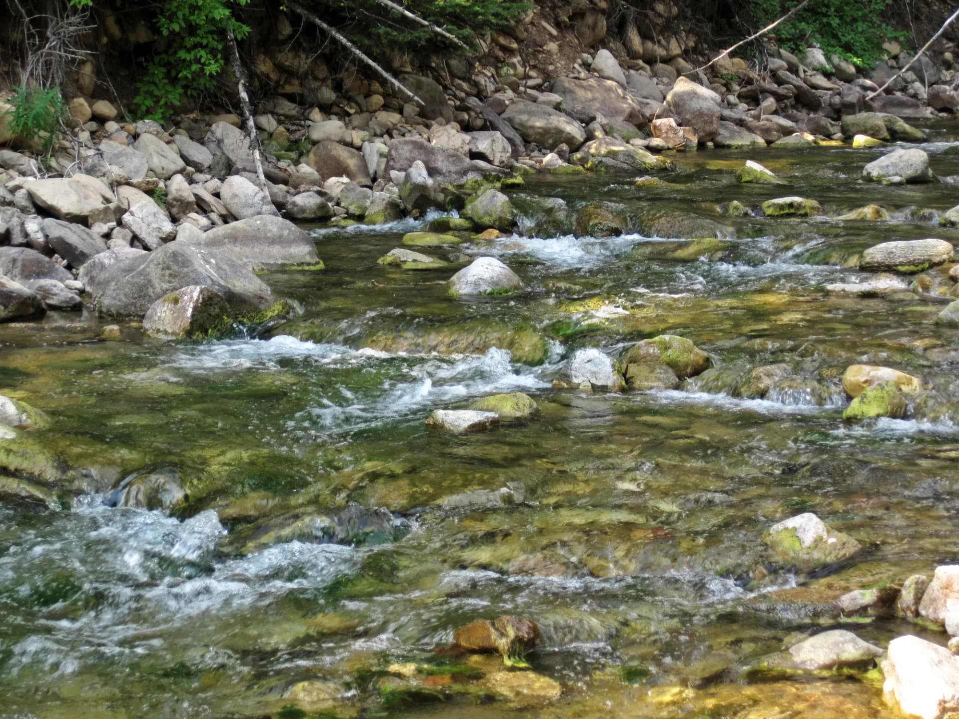 Cabin Creek flowing through forested mountains in the Hebgen Lake area of Gallatin National Forest, Montana
