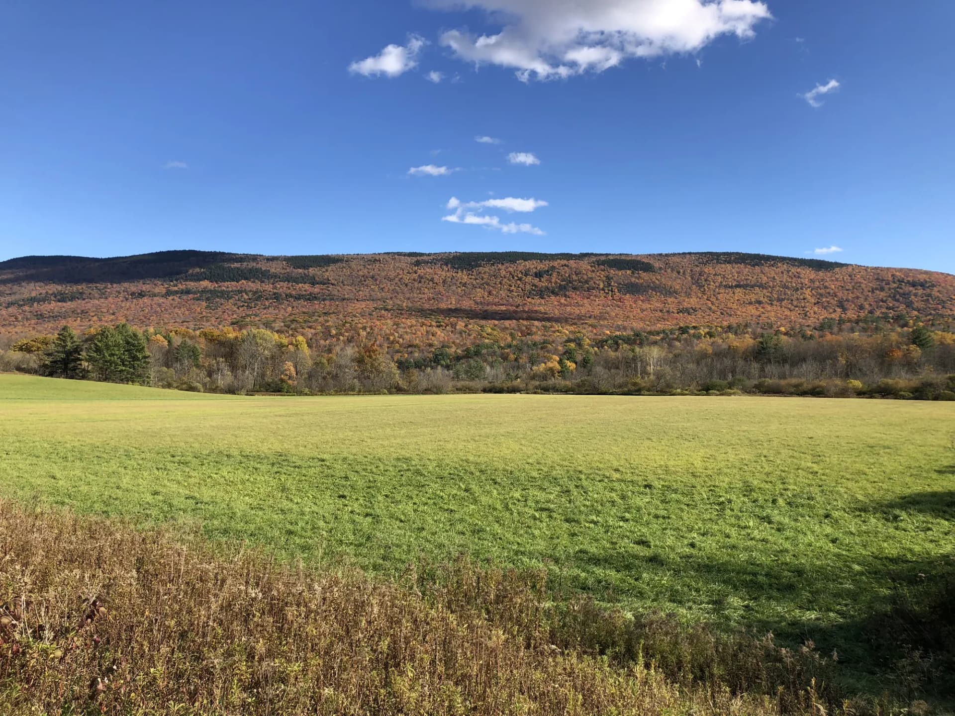 Autumn foliage view looking south toward Green Mountain National Forest from Sunderland, Bennington County, Vermont