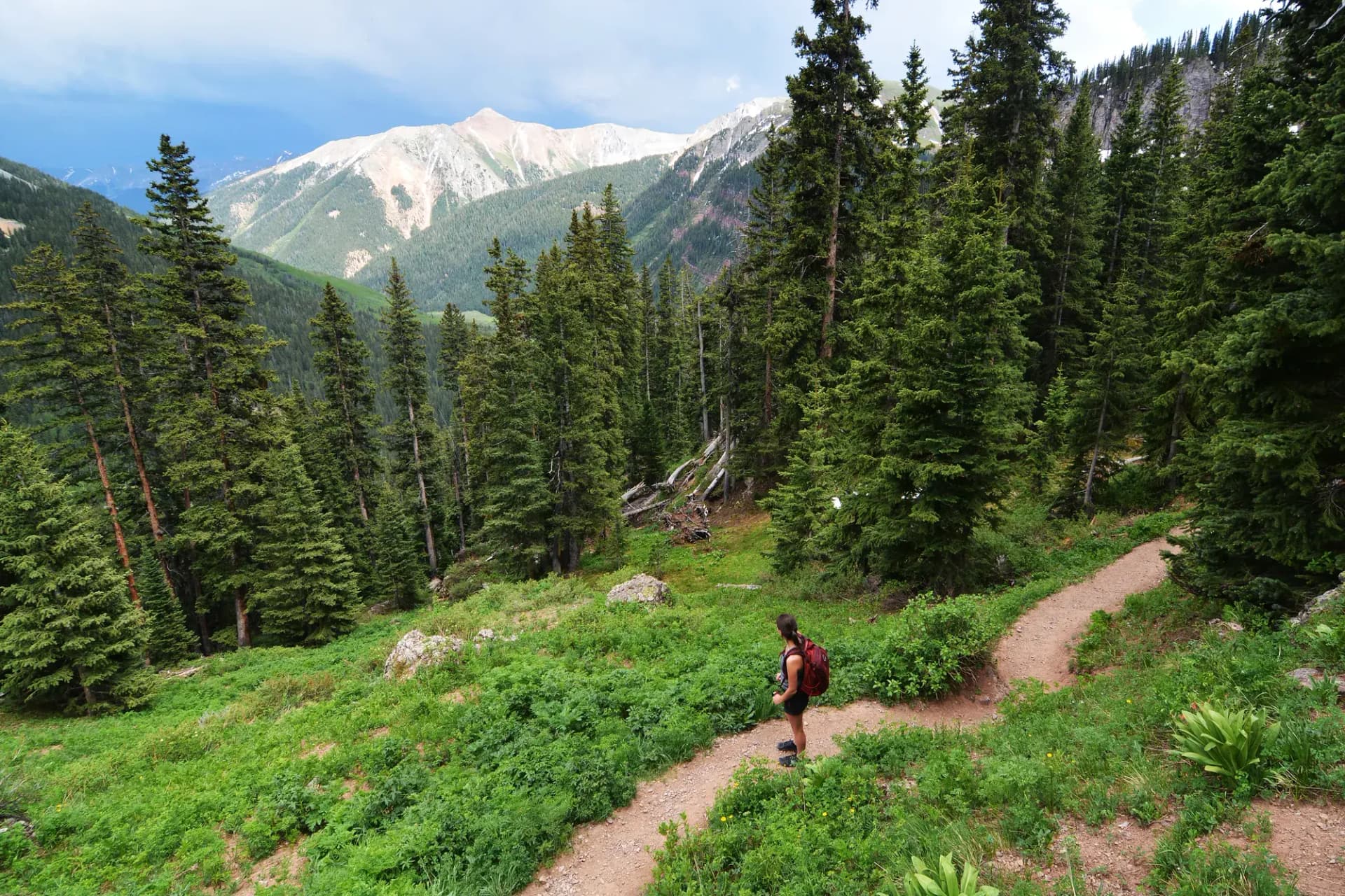 Hikers on a trail through alpine meadow with wildflowers heading toward Ice Lakes basin, San Juan National Forest, Colorado