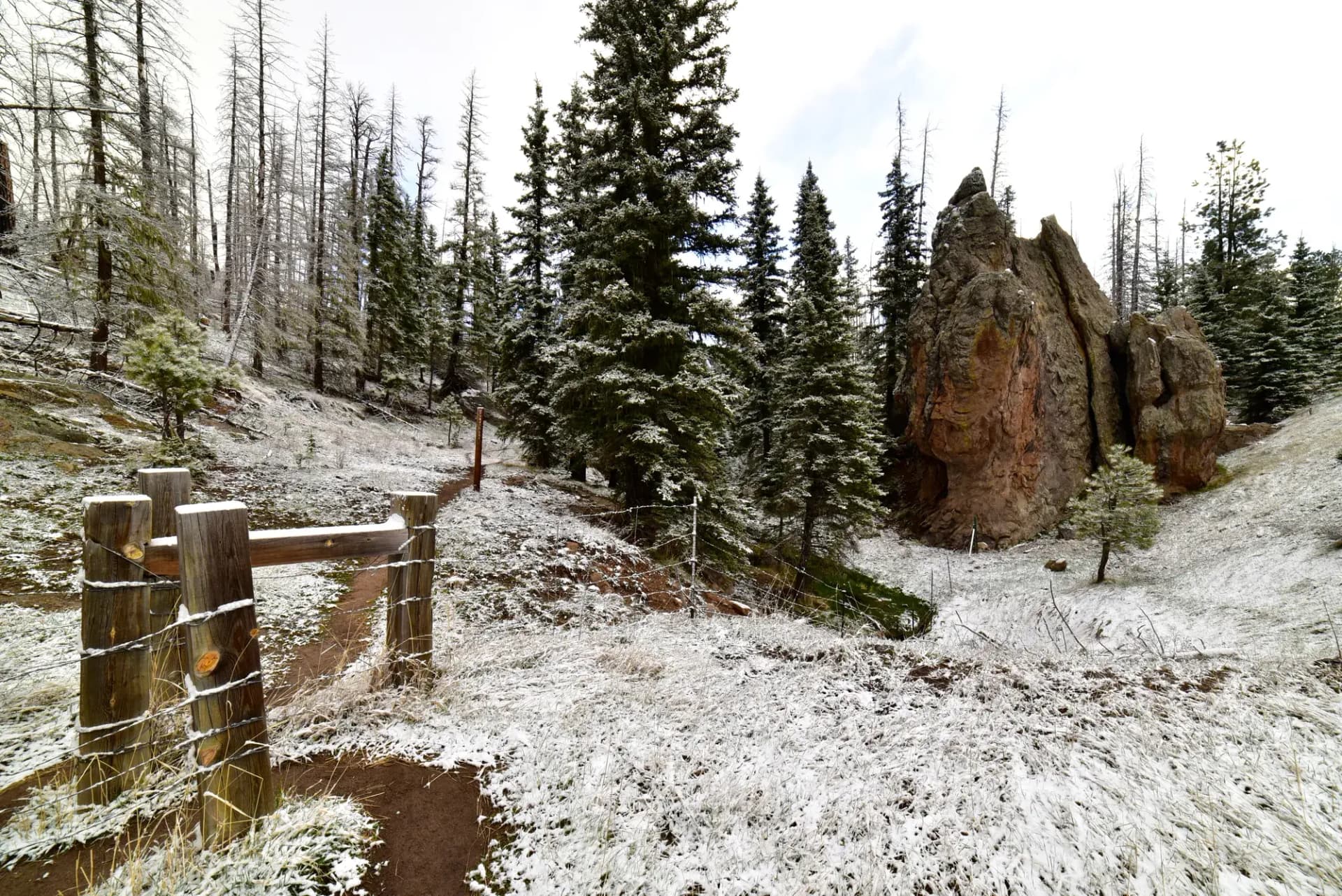 Forested mountain slopes with mixed conifer and aspen trees, Santa Fe National Forest, New Mexico