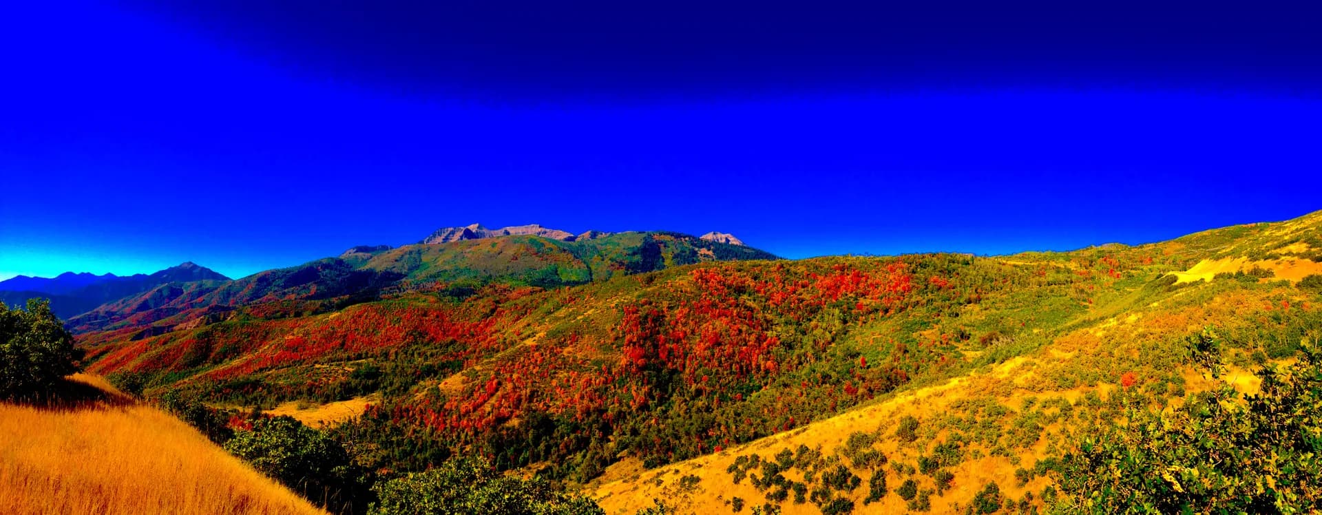 Alpine Loop scenic drive in Uinta-Wasatch-Cache National Forest, Utah